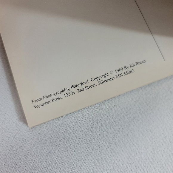 Vtg Waterfowl Postcard Collection Book By Kit Howard Breen - Picture 5 of 10